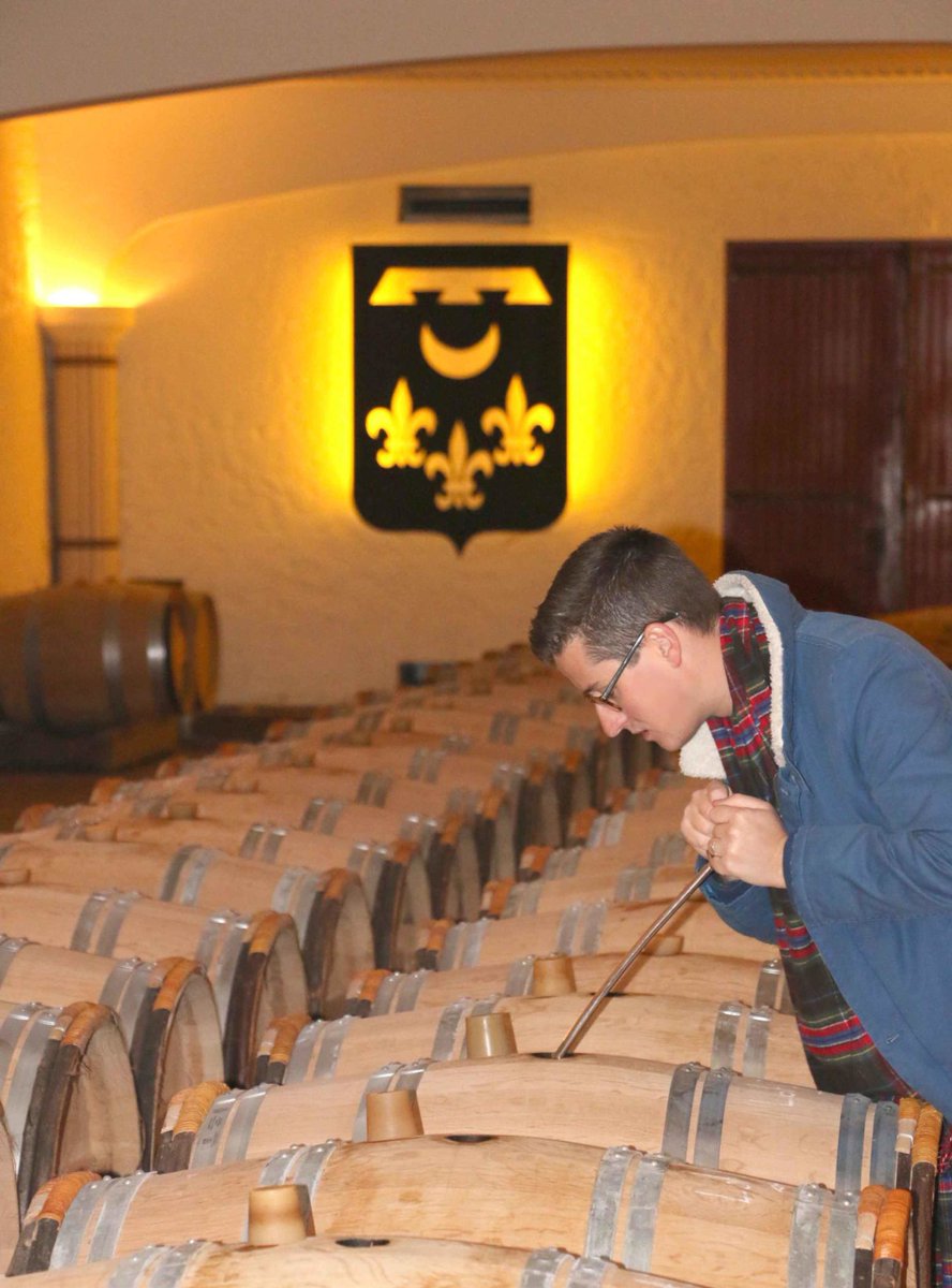 TheFoodaholic tweet media