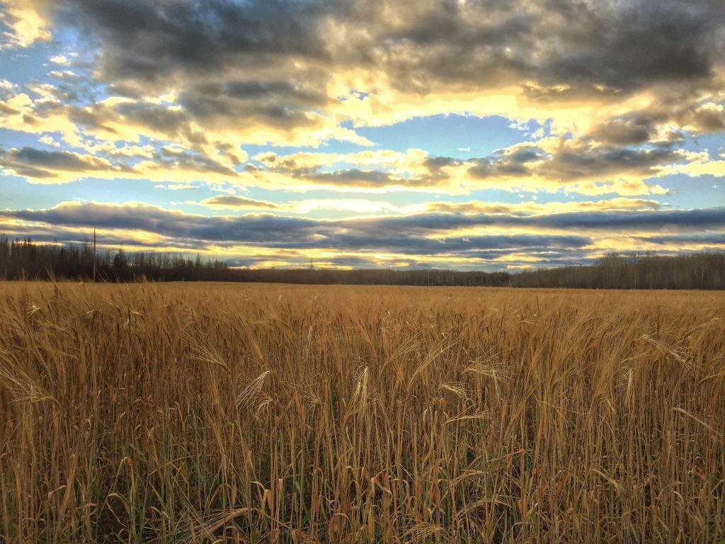 UniqueAssets's tweet image. The market for #farmland continues to be strong in BC.  Another large sale by the #Uniqueproperties team 5,665 acres ow.ly/zDwo3094zMc