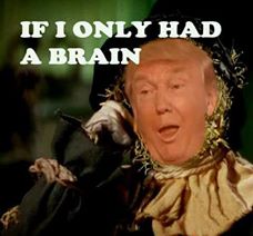 yeswecan tweet media