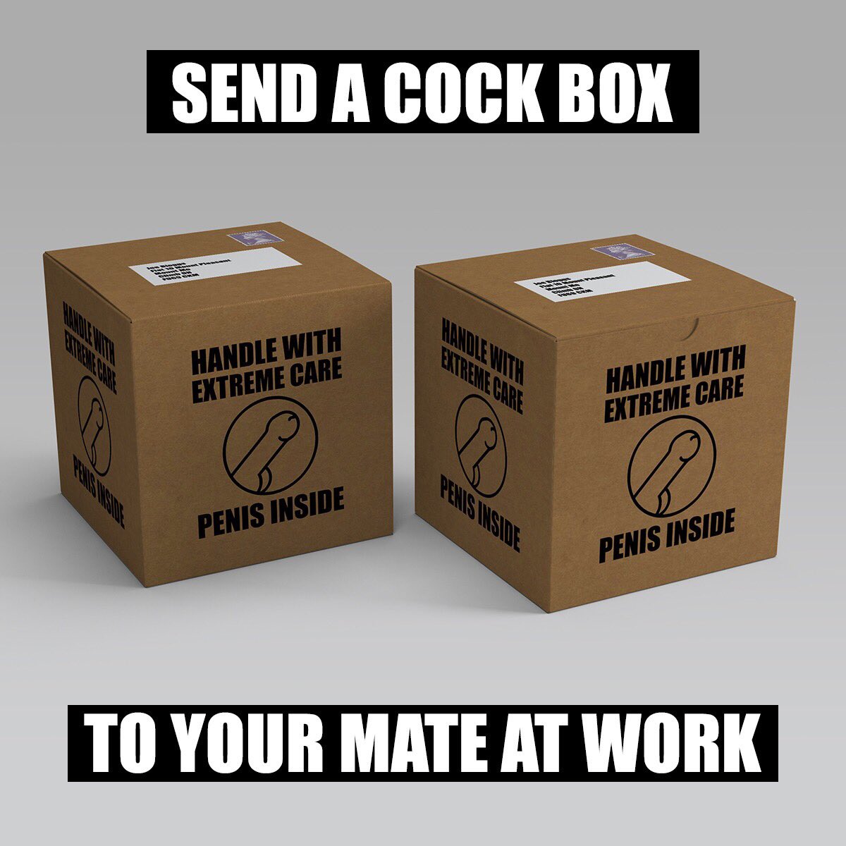 BrickOrPotato's tweet photo. Yep. Exactly what it says on the tin. 
Send a cock box to someone, anonymously, &amp; embarrass the f out of them. 

https://t.co/2x4cpR9yBZ https://t.co/1R0KcsQxOv