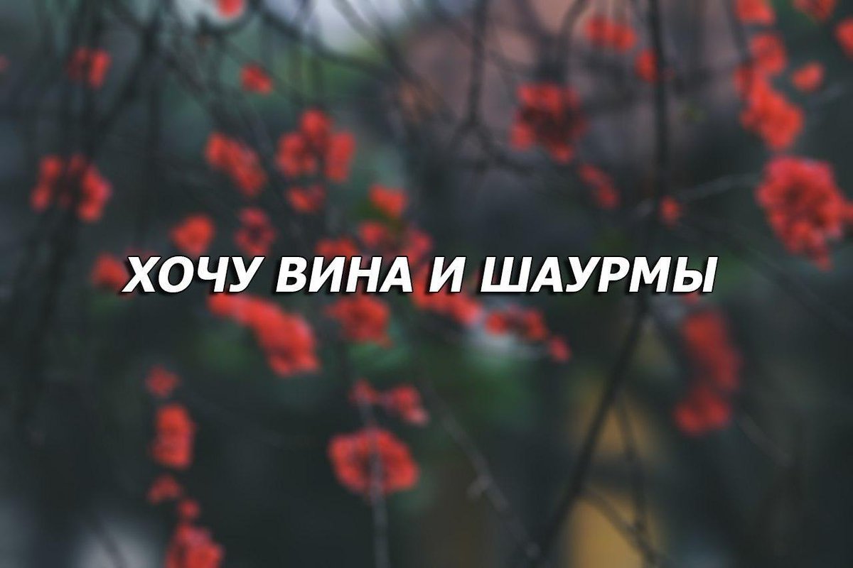 такому картинка хочу вина и поцелуев основной элемент