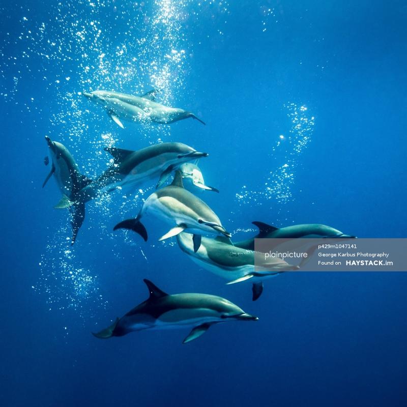 Haystack.im tweet media