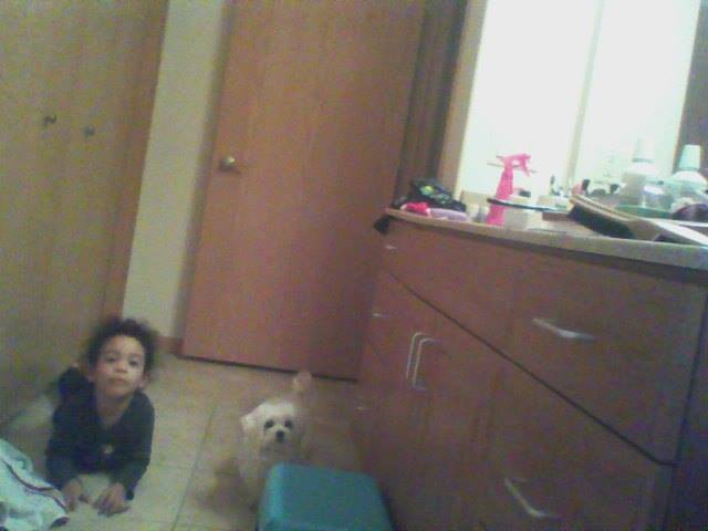 MommyCatBlogger's tweet photo. I legit just wanted to pee in peace...apparently that is too much to ask...🤣

#motherhood #parenting #Parenthood #lifewithkids #momlife https://t.co/va840yryHU