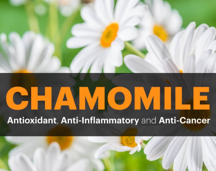 JPMM_MD_CICS's tweet photo. La manzanilla: hojas, tallos, flores: deshidratadas o verdes tienen propiedades anticancer, inclúyela en tu dieta diaria,CICS te orienta. https://t.co/nVIqhgBKkA