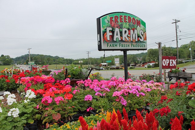 Freedom Farms (@FarmKings) | توییتر