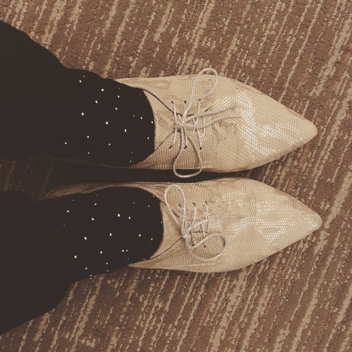 BeaMothe's tweet photo. Que la suerte me acompañe. Hope you enjoy #theoneinthesilvershoes #croi2017 #119LB @IrsiCaixa @FLSida @BCNCheckpoint #tcellmatters https://t.co/xTmwrTD724