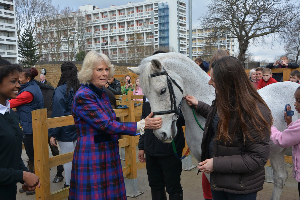 Ebony Horse Club tweet media
