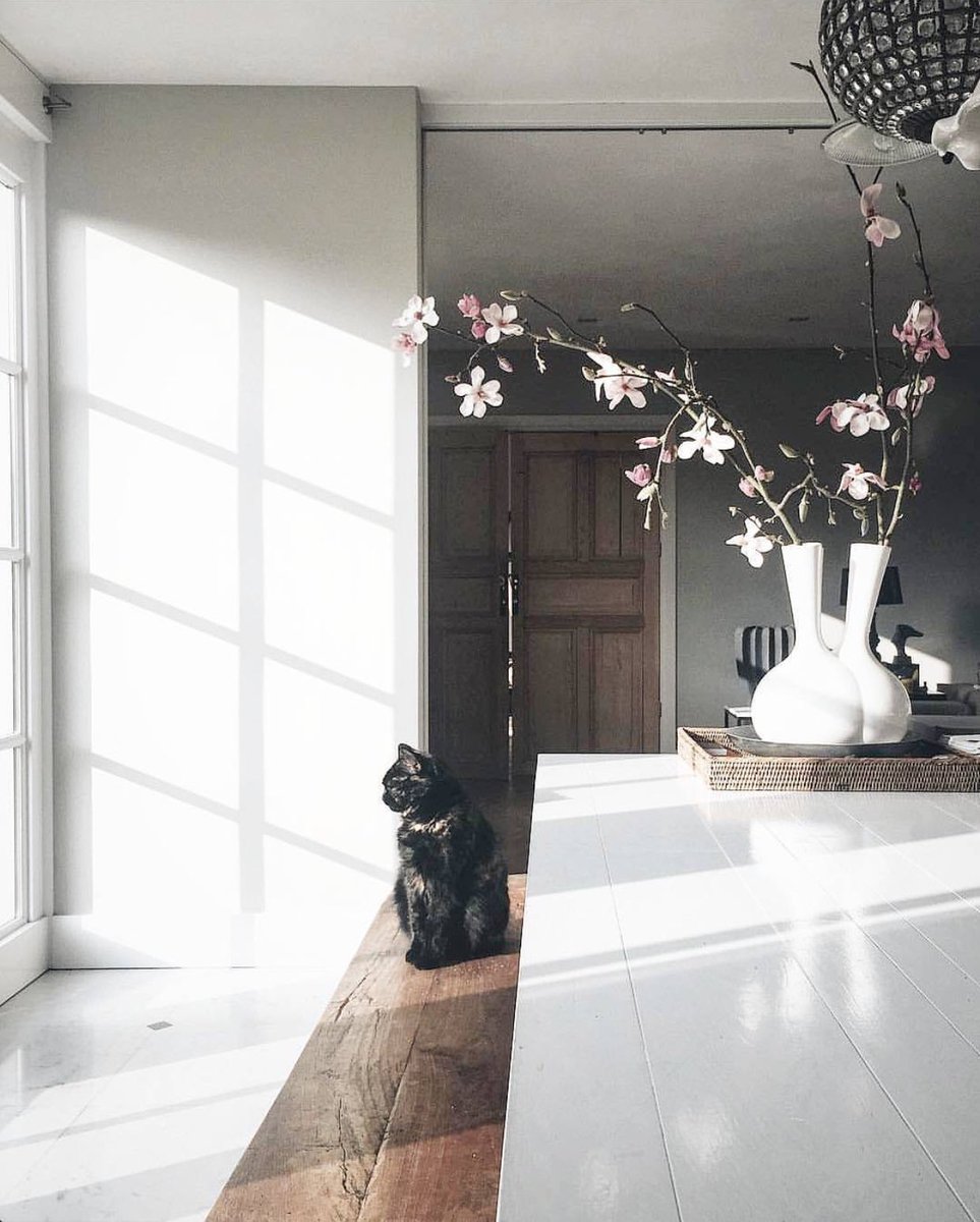 Clean lines and natural light make all the difference! Take advantage of are free interior design consultants&amp;save 10% on orders over $5,000