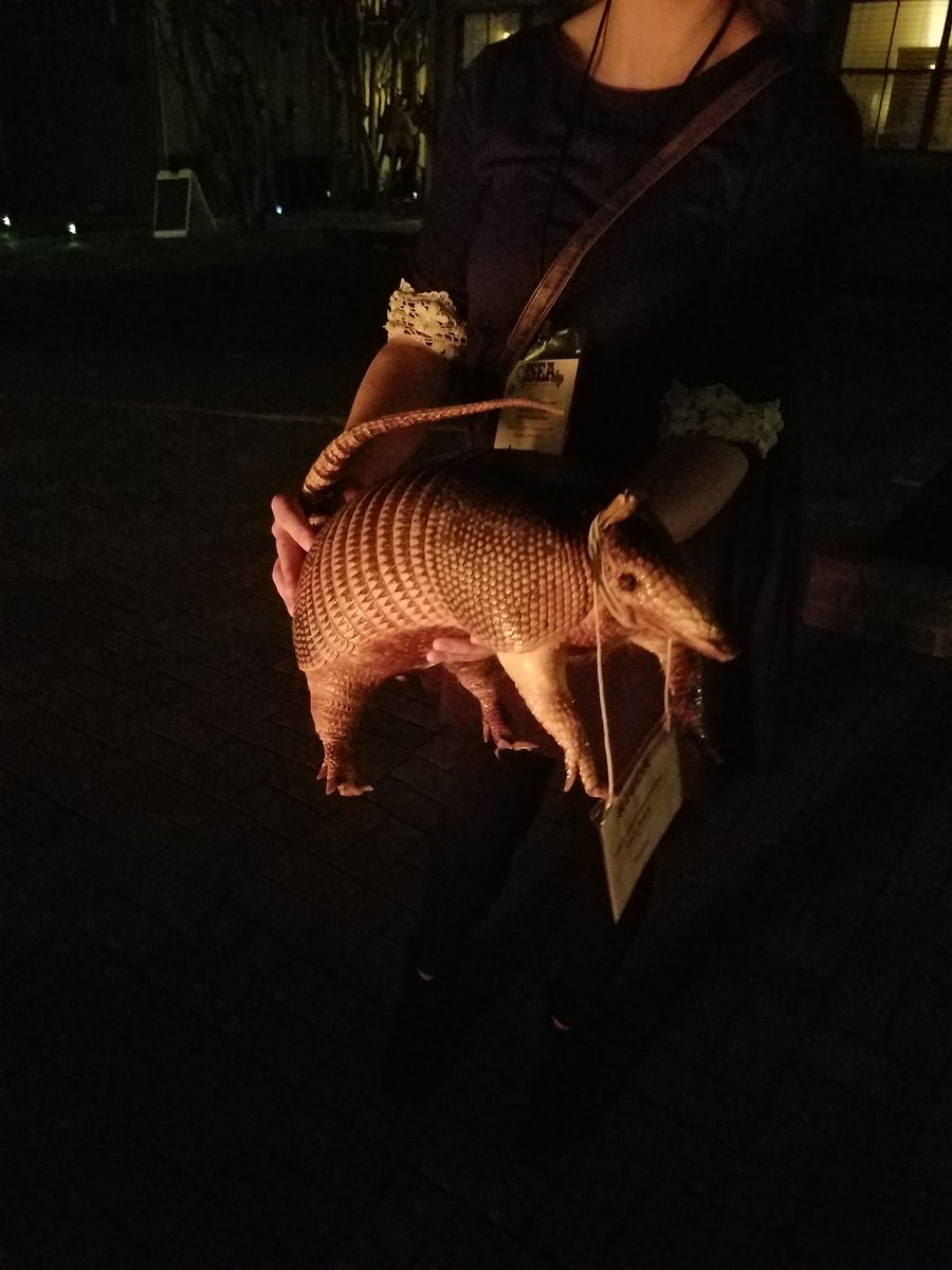 dhsastronomy's tweet photo. #ISEATX2017 #ISEACrush #Rigor!! So handsome in the light of the fire ❤ https://t.co/jdIoZ0Amgn
