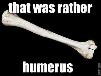 DirectOrthoCare's tweet photo. When your orthopedist tells a good joke... π
#GoSeeDOC #humerous https://t.co/JiA92ytIcJ
