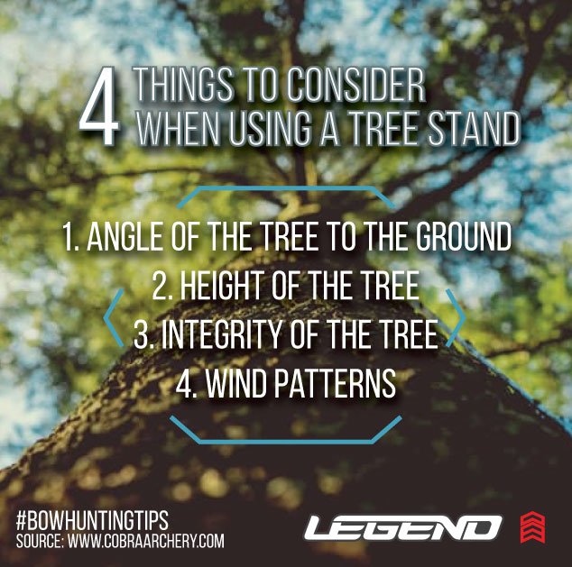 legendoutdoor's tweet photo. 🌳  🎯 #BowhuntingTips #Archery https://t.co/2vcFIaFN4G
