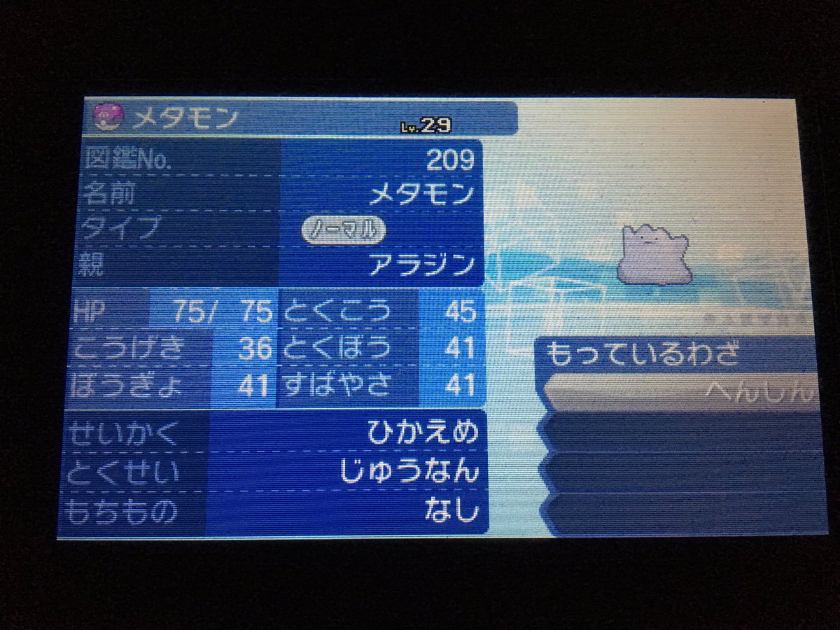 ぱんだぱんち Pandapanchigg Twitter ぱんだぱんち Pandapanchigg Twitter