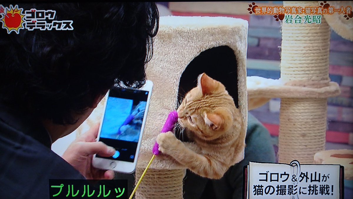 吾郎ちゃん不足のあなたへ 私こっちからゴロウさんの動画を撮りたい Cyokozaiのblog 吾郎ちゃん不足のあなたへ 私こっちからゴロウさんの動画を撮りたい Cyokozaiのblog
