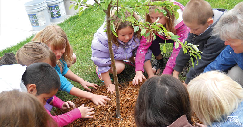 iowadnr's tweet image. #TreesForKids grant applications due March 1!
Details: bit.ly/2kEuOq0
#IowaDNR