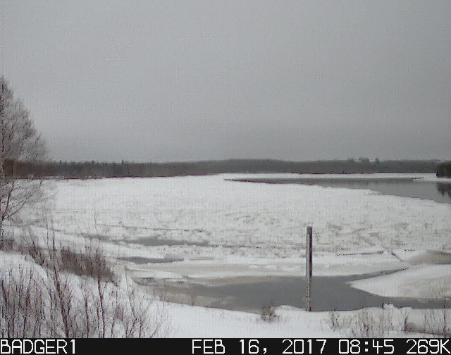 The most recent webcam images can be accessed here
@ env.gov.nl.ca/wrmd/ADRS/v6/G… Just like this recent image of Badger.