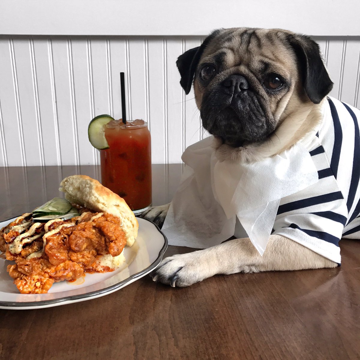 itsdougthepug's tweet photo. No matter how hard I try, food will always end up on my clothes https://t.co/K1bxO82mNs
