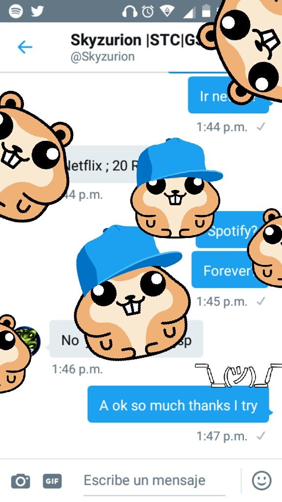 BelicosNetwork's tweet photo. Solo 20 RTs y me dan un spotify para regalar @Skyzurion Rtwi! :v hazlo por el hámster con sombrero y por los demás https://t.co/CrDVsvZoy7