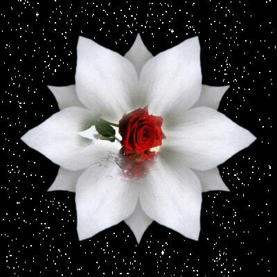 PeroRapaa's tweet photo. متى ستطلع شمس الحريه https://t.co/ABRdq3DjO1
