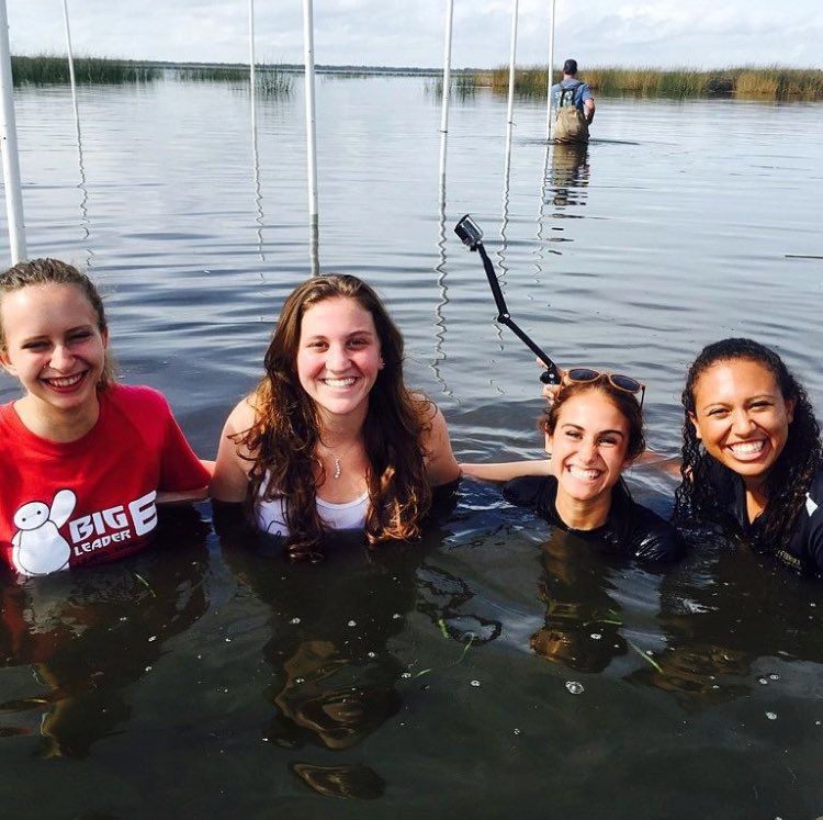 Come out and get dirty with us next weekend as we work alongside SERV to help restore the Eel grass population at DAKOS! Link in bio!