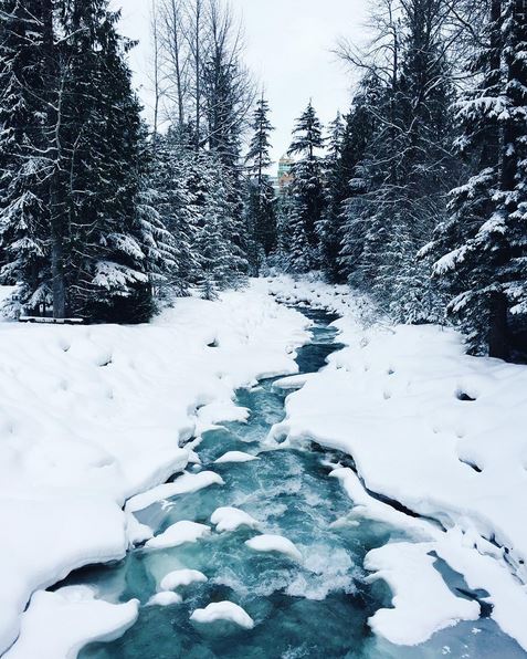 GoWhistler's tweet photo. Long walks in the snow...

https://t.co/DkSof0Lj5k | Photo: earlybird (https://t.co/nWEDSJhudy) https://t.co/T8D0C1c3Tz