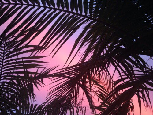 flyyyy (@perfmood) on Twitter photo 