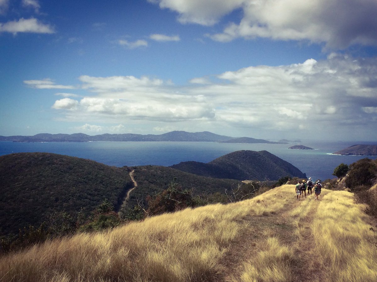 "Keep moving forward" has been my mantra and it has served me well. Small or large, do something everyday to move yourself forward. #forward