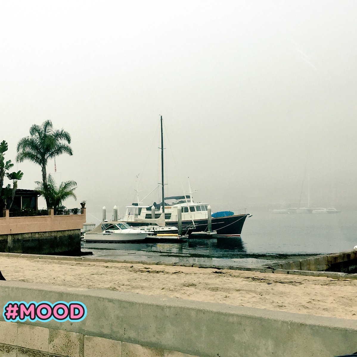 DaleneKurtis's tweet photo. Such a beautiful day!!! I'm loving this foggy weather & super low-tide vibe โต๏ธ๐ฅ๐ซโ๏ธ๐ด๐ #Beachwalk #ThursdayMotivation #PMOY2002 ๐ฐ๐ฏ #Blessed๐๐ผ https://t.co/wxXgfDR4Tl