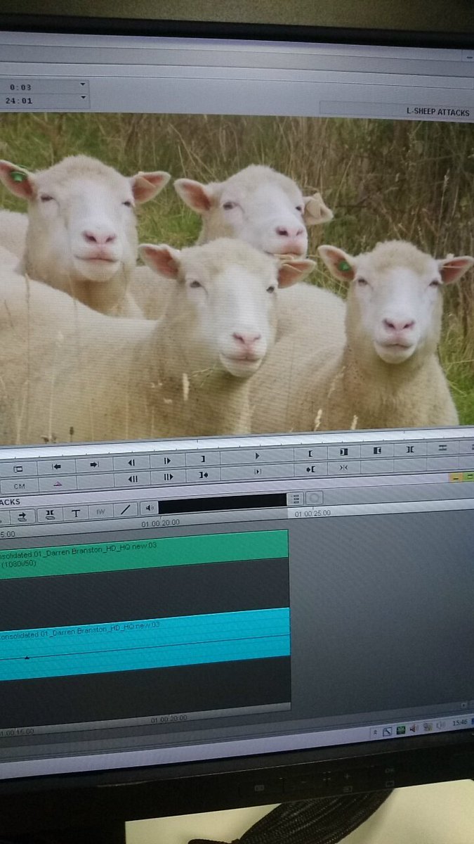 Iram Sarwar tweet media