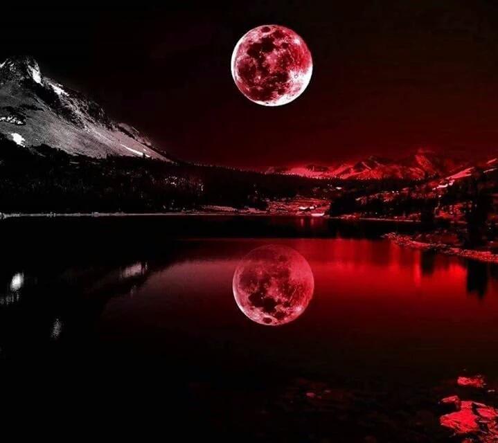 captain_mehyar's tweet photo. @AvinaMary @ttrione3 @eahlovesu13 @hilbillys @FrswAp @virlivia21 @Lizbethfeelings @bombal_celine @vesnazivkovic68 @VeroliveSimeon https://t.co/00gT6hDpcE
