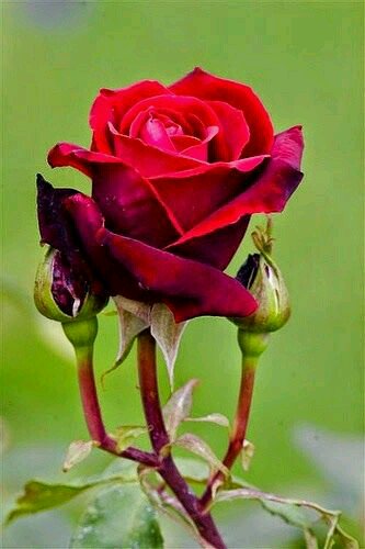 Que DEUS abençoe ricamente nossa tarde #operacaobetalab11
#missaobetalab
#blablablametro 
#betaseguebeta 
#BetaAjudaBeta 
#sdv
#rts