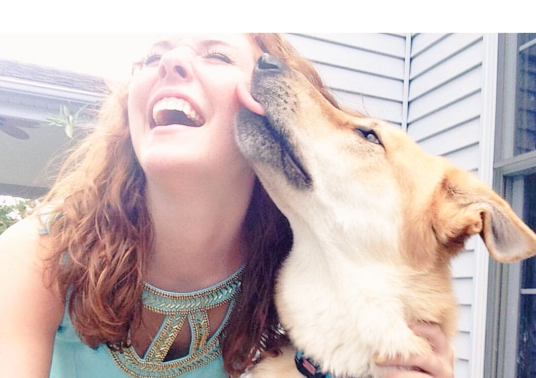 Wolfe Dye & Bleach (WolfeTextile) Twitter