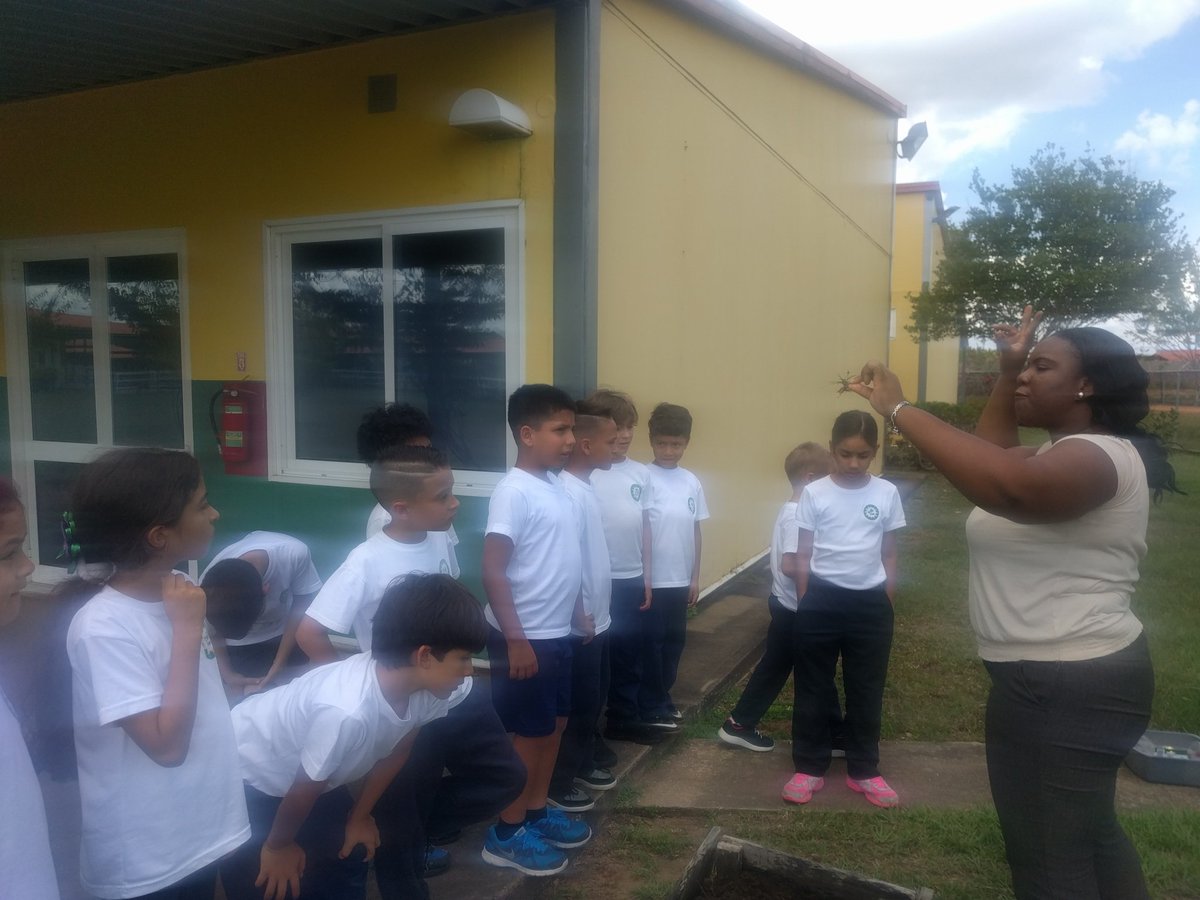 pjgordon10's tweet photo. #ISM2017 Our 2nd graders learn about plants, fibrous &amp; tap roots and how seeds germinate with teacher Nicola Mullings. https://t.co/FtgLcvruKg