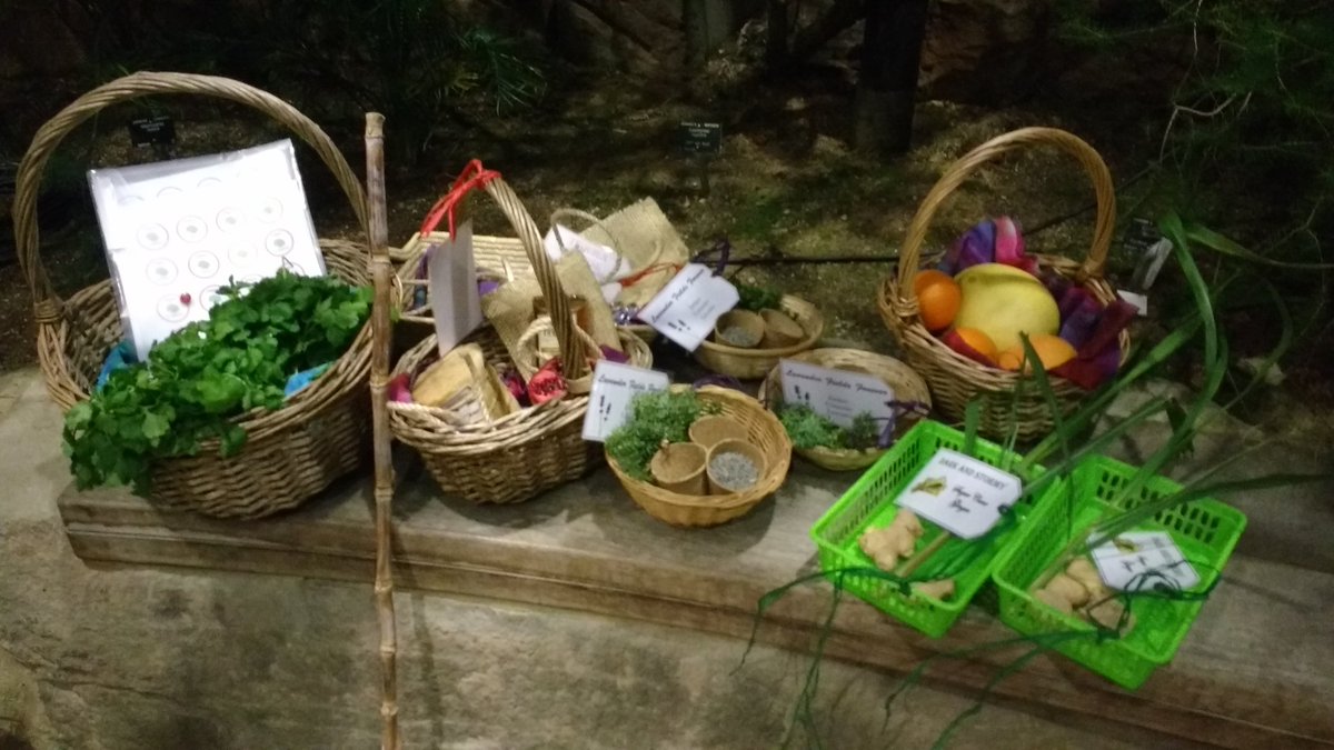 CUBGLearning's tweet photo. The plants that make cocktails. #CamLates #BotanicNights https://t.co/uKsqRnBvrJ