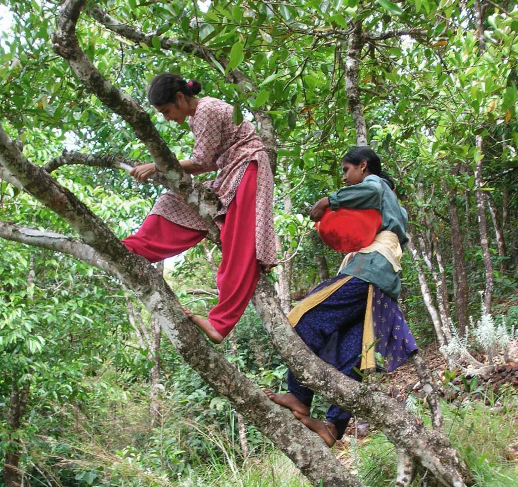 EmbassyOTEarth's tweet photo. CUSTODIANS OF THE LAND, HEALERS OF THE EARTH https://t.co/dT4oJxGqFp https://t.co/IEmCyKT8lo