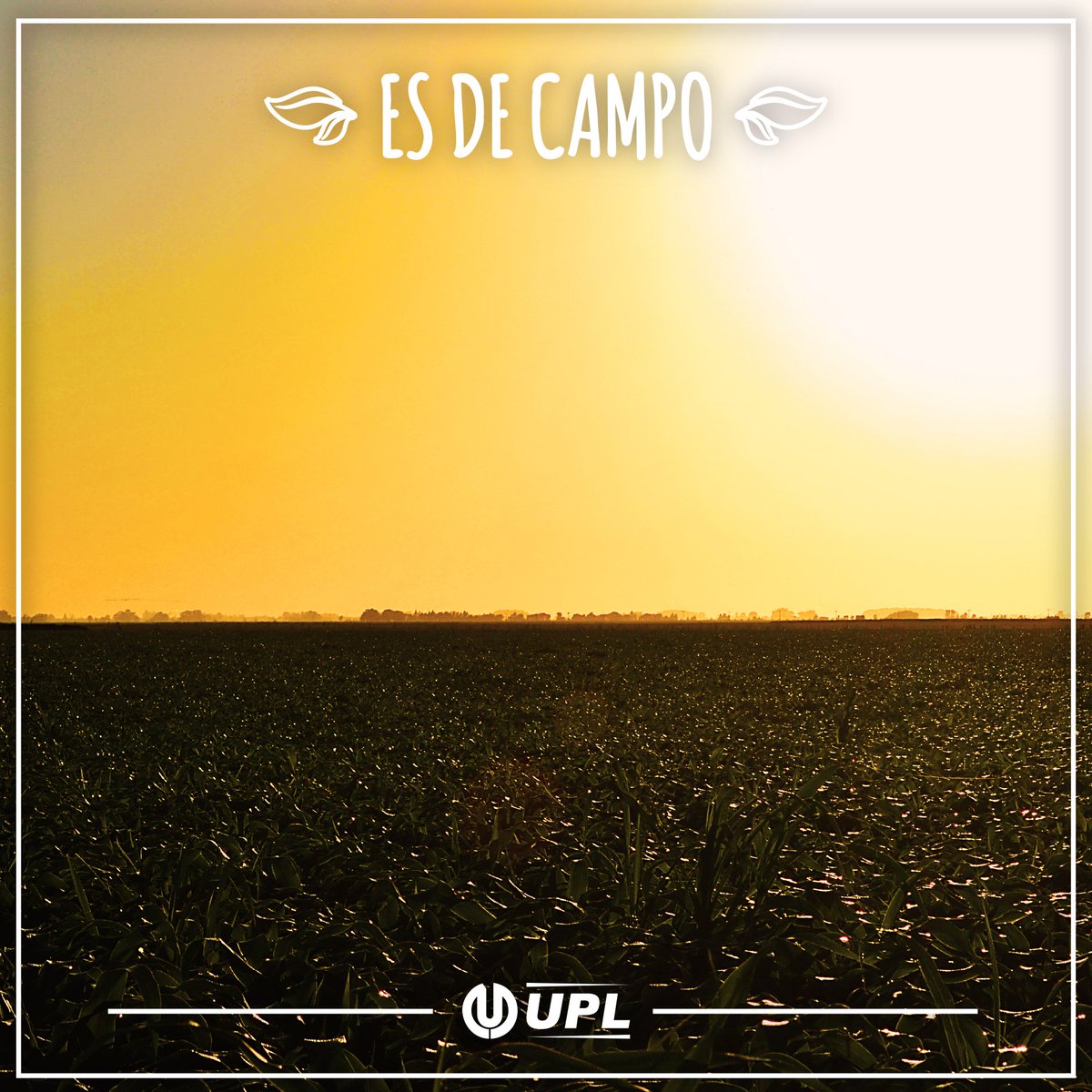 UPLArgentina's tweet photo. #EsDeCampo tener siempre el mejor clima de trabajo en "la oficina"
Nos mandás foto de tu paisaje laboral? https://t.co/x99S4PcIja