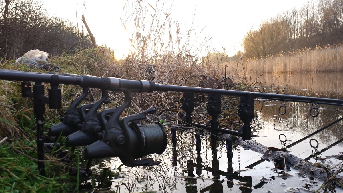 craigcarpman92's tweet photo. Last night's adventure on the canal ! #sks#dlblack#s5#curve#20/20  @soniksports  @NashTackleUK  @JRC_products @CygnetTackle  @TF_Gear https://t.co/U6sZ6dFKKn