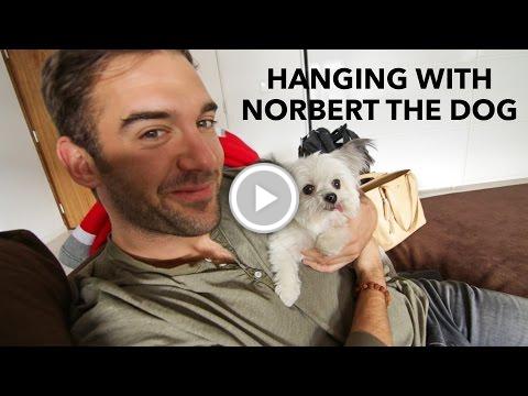 SocialFreeway's tweet photo. Julie and Norbert on Giving Back with Lewis Howes https://t.co/AFmniuwGqd #TwitterTips #motivation https://t.co/5vRt1VmMMg