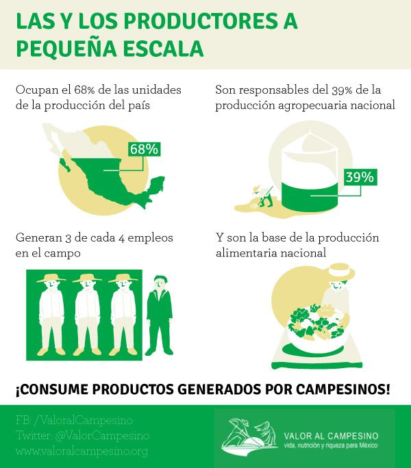 ValorCampesino's tweet photo. ¿Qué tan importantes son los campesinos para el campo mexicano? Mucho más de lo que piensas: https://t.co/286scsa6kB