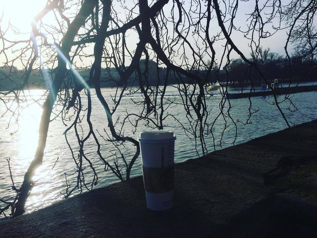 Uz jste meli kafe po ranu? My ano, cestou do prace. #fashioncoffee #morningwalk #timetowor… ift.tt/2m2JEYc