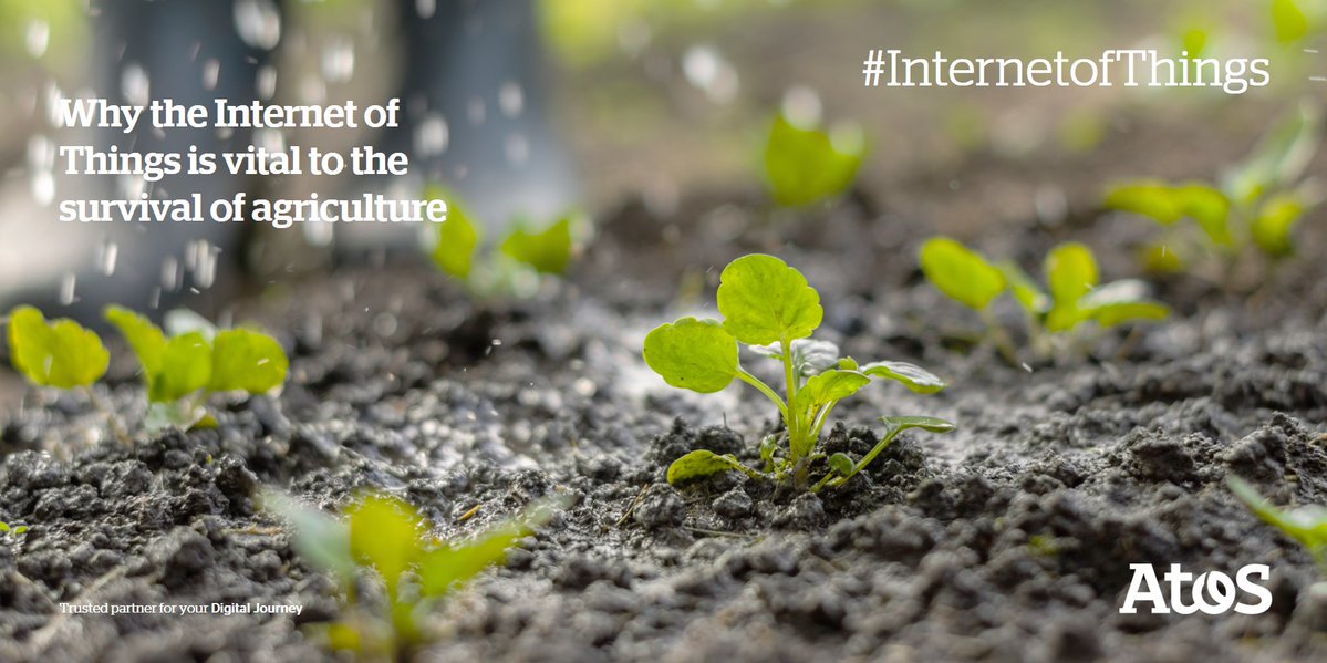 mariannehewlett's tweet photo. Why the #IinternetOfThings is vital to the survival of many industries https://t.co/3ZzqZP1r4f https://t.co/mUYaQF6QP4