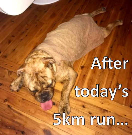 It's Day 3 of #themarchcharge! Some of us are starting to realise we're not as fit as we first thought!