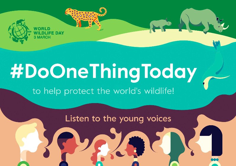 FAO Forestry tweet media