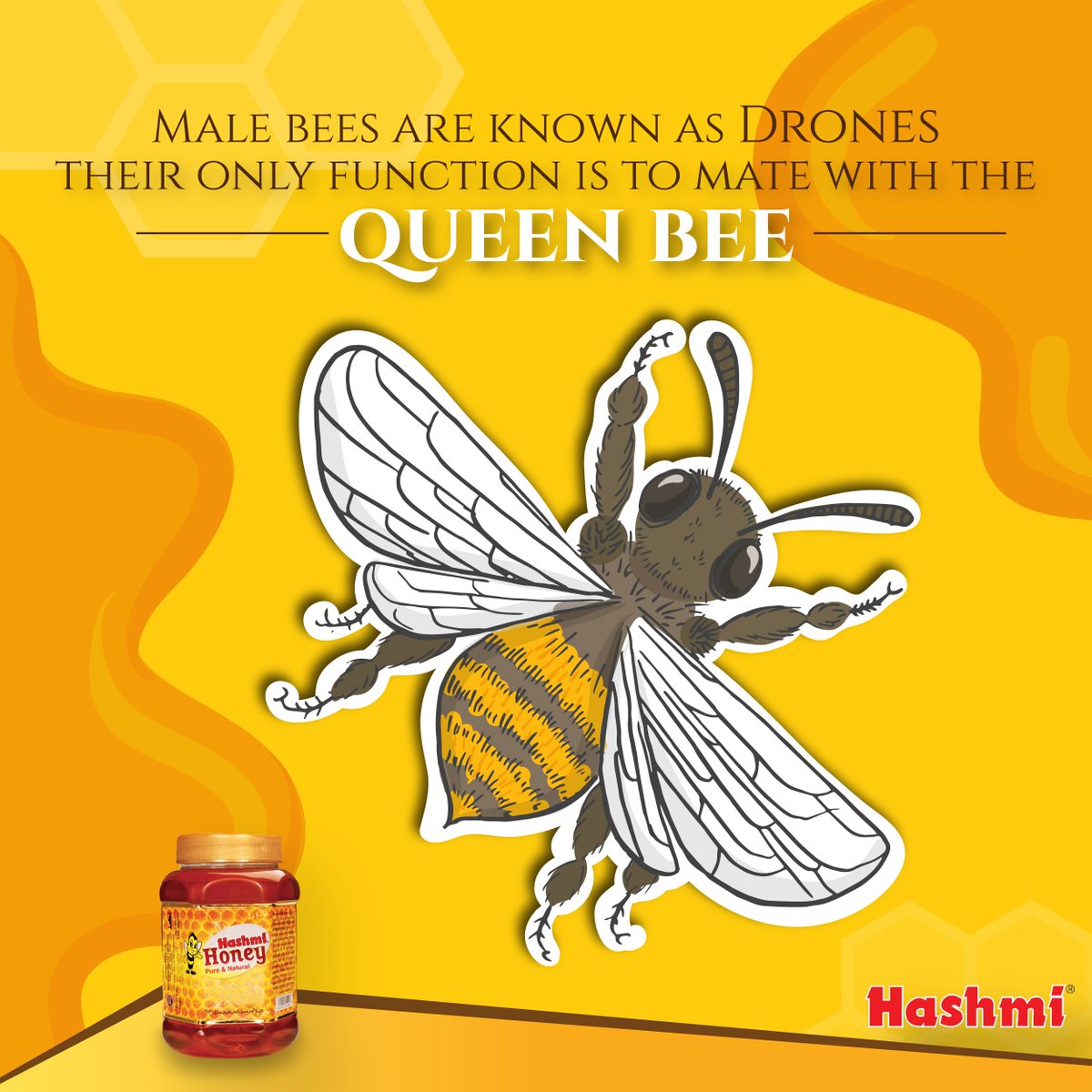 HashmiPakistan's tweet photo. Honey plays a crucial role in the life of a honey bee and can also be very beneficial to the human body. #hashmi  #HashmiPakistan. https://t.co/OUpQjYHrKr