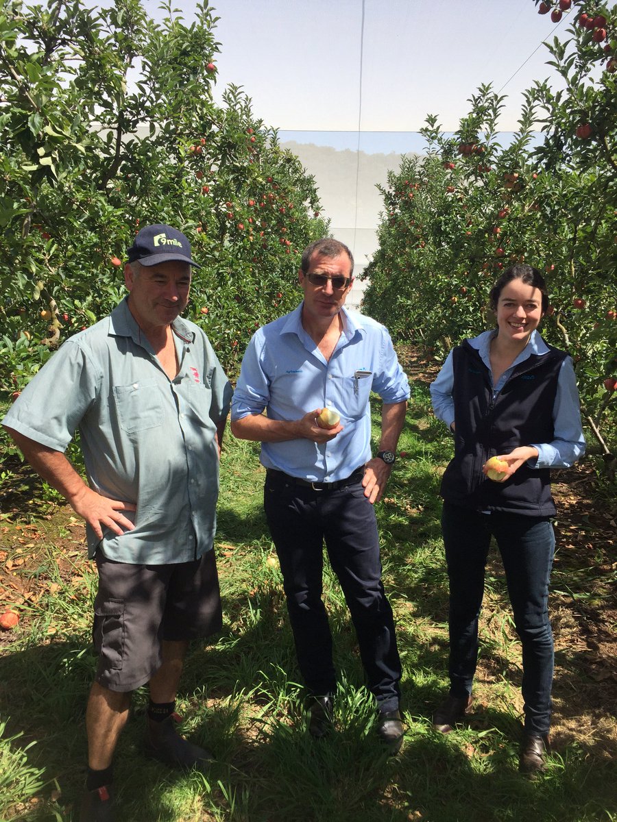 An apple a day!.. 🍎 Fantastic tour of 9mile yesterday - World class packing facility👌<a href="/BrentSearle2/">Brent Searle</a>