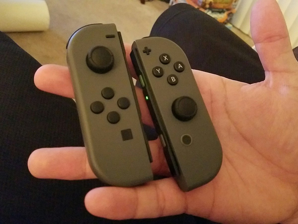 SaganEzell's tweet photo. I know what I'm doing for the next 12 hours #switch #breathofthewild https://t.co/7YU9wj5wDe