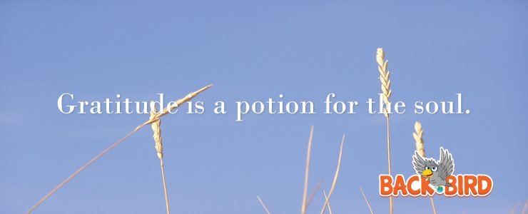 BackBirdGame's tweet image. Potion for ...
backbirdgame.com/wisdom-of-back…
#bb #backbird #backbirdgame #game #mobilegame #dialog #wisdom #development #ios #android