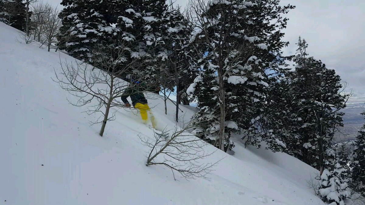 jroachfire9's tweet image. Some pictures from the other day!