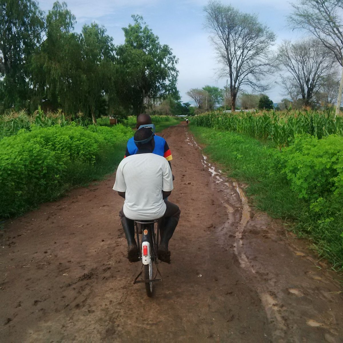 bicomalawi's tweet photo. Yes, the situation with the roads in Karonga being rainy season but the team is so determined to #EndTrachoma #TT_Only_Surveys https://t.co/d9o6t9Qlec