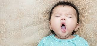 dottybeesp's tweet photo. Horas de sueño necesarias según la edad de bebé
https://t.co/gofQ0wVQAy
#dormir #sueño https://t.co/9qSuEw1gE2