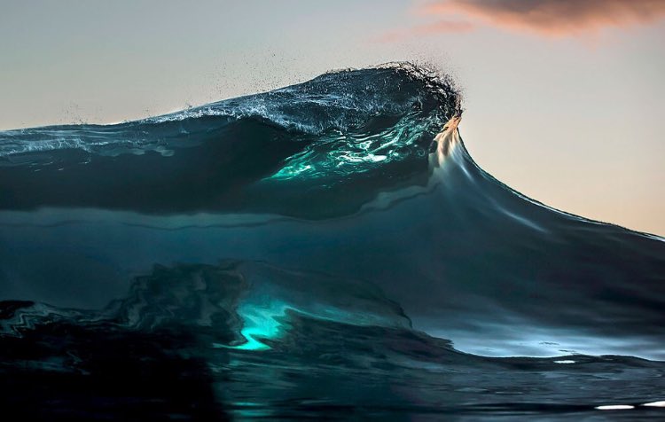 Ann_Aurore's tweet photo. @nosferatu76000 @Neo_atterre @odelette13 @CarolineHubin @clbr71 @SuzanneLepage1 @arretemyriam @Mart4400 @colibris4 @hajoura74 #FFB #Onsurf https://t.co/wr5PoRXqEm